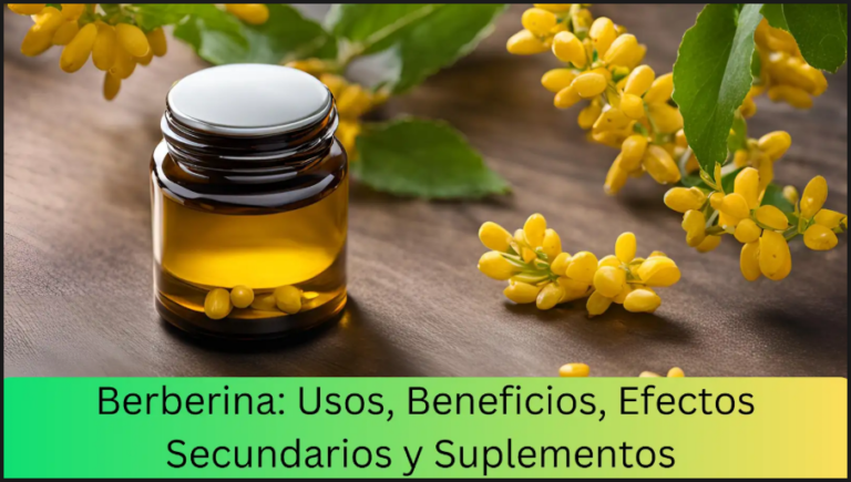 Berberina: Beneficios